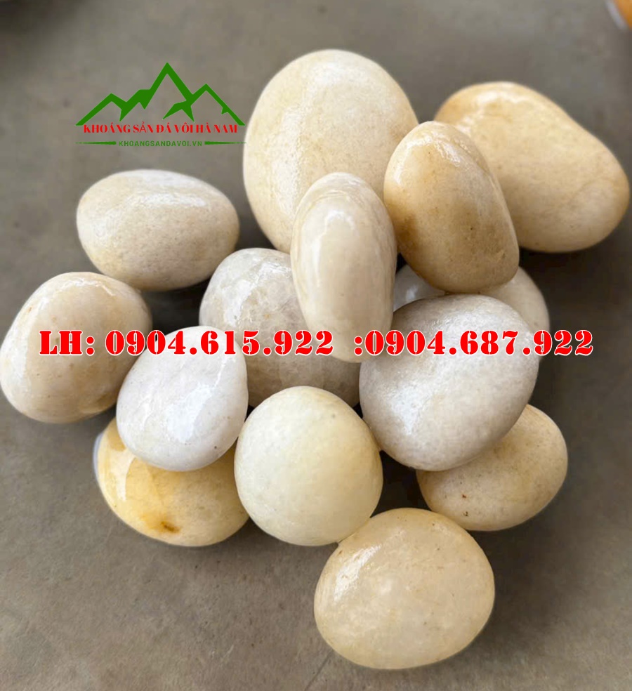 soi-tu-nhien-trang-tri