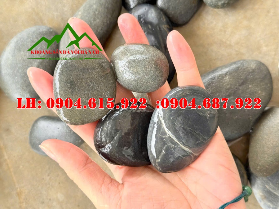 soi-tu-nhien-trang-tri