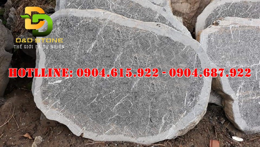 da-buoc-dao-loi-d-san-vuon