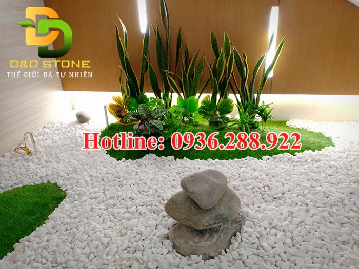 soi-trang-muoi-trang-tri-san-vuon