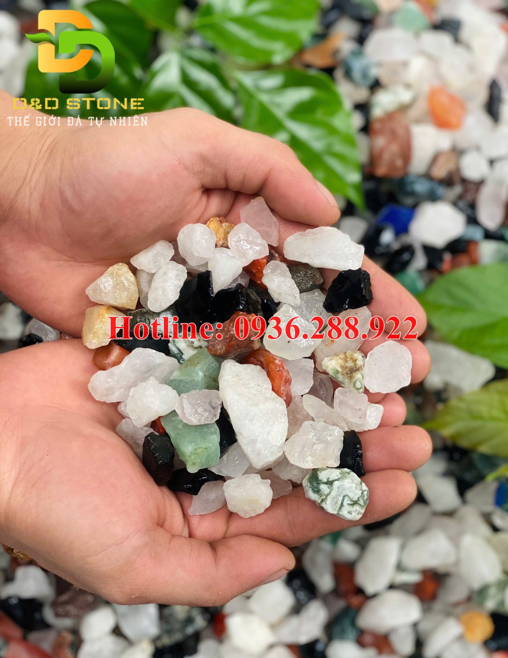 thach-anh-rai-nen-trang-tri-tieu-canh-uy-tin-gia-re-tai-ha-noi