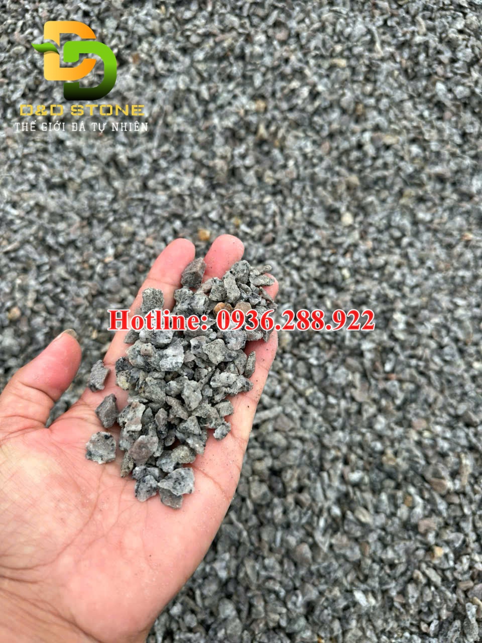 soi-cao-hoa-cuong-gia-re-tong-kho-soi-da-lon-nhat-viet-nam