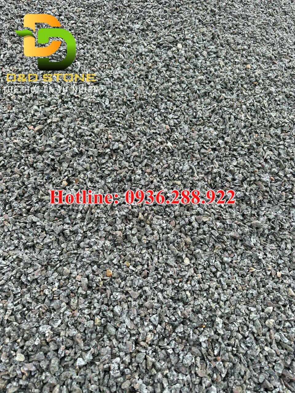 soi-cao-hoa-cuong-gia-re-tong-kho-soi-da-lon-nhat-viet-nam