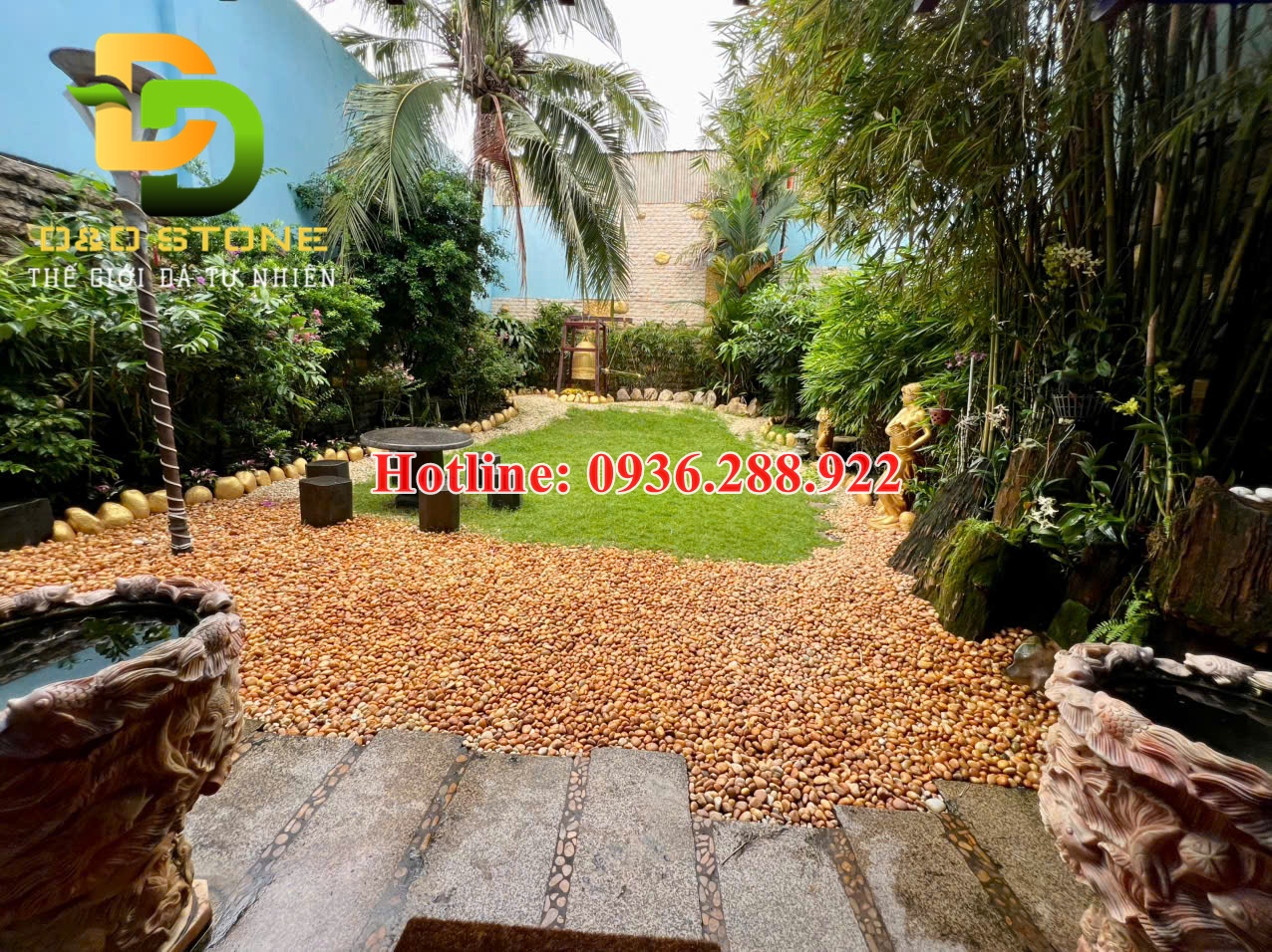 soi-vang-tu-nhien-rai-loi-di-san-vuon-tong-kho-soi-tu-nhien