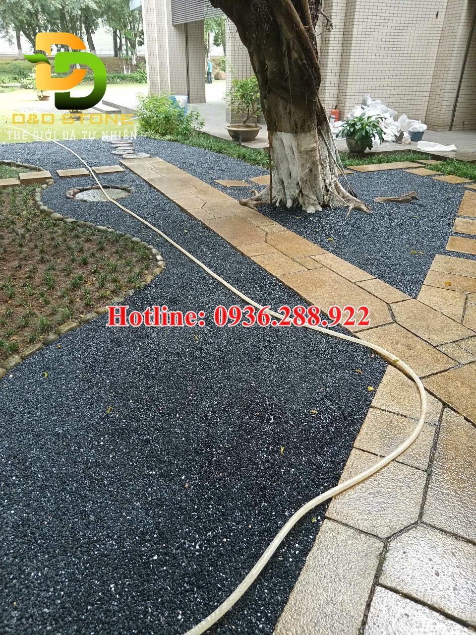 soi-den-quay-rai-san-vuon-loi-di-tong-kho-soi-da-lon-nhat-mien-bac