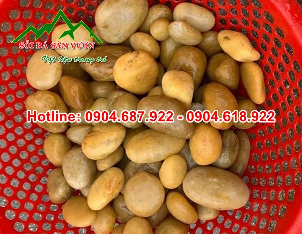 sỏi vàng trang trí