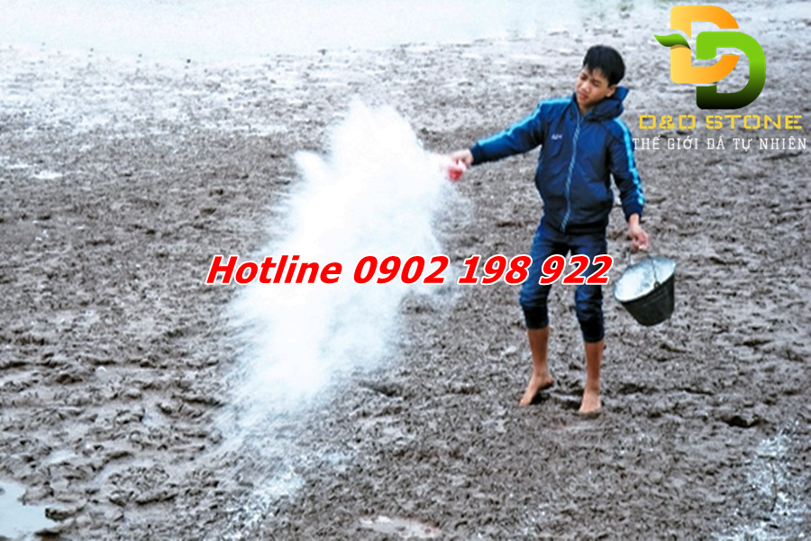 voi-cho-chan-nuoi-thuy-san (3)