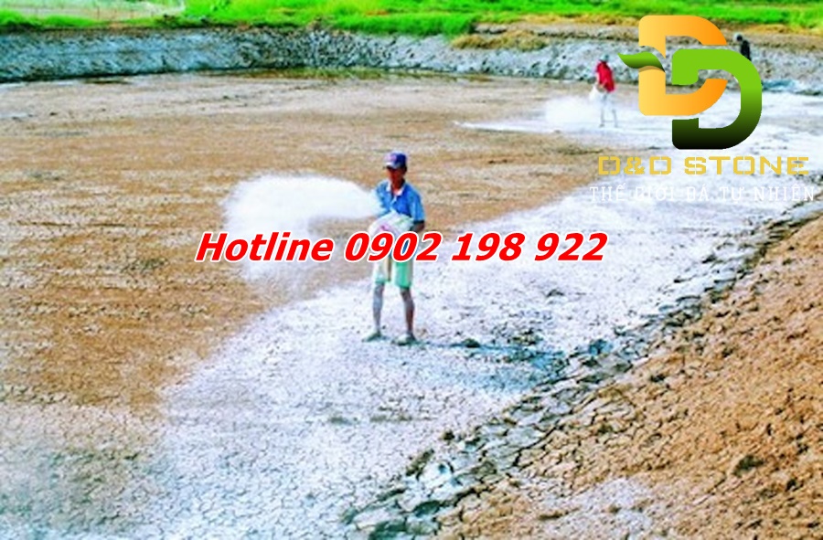 voi-cho-chan-nuoi-thuy-san (2)