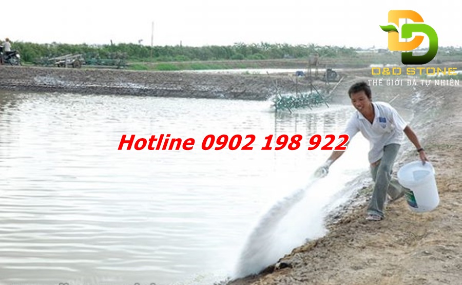 voi-cho-chan-nuoi-thuy-san (5)