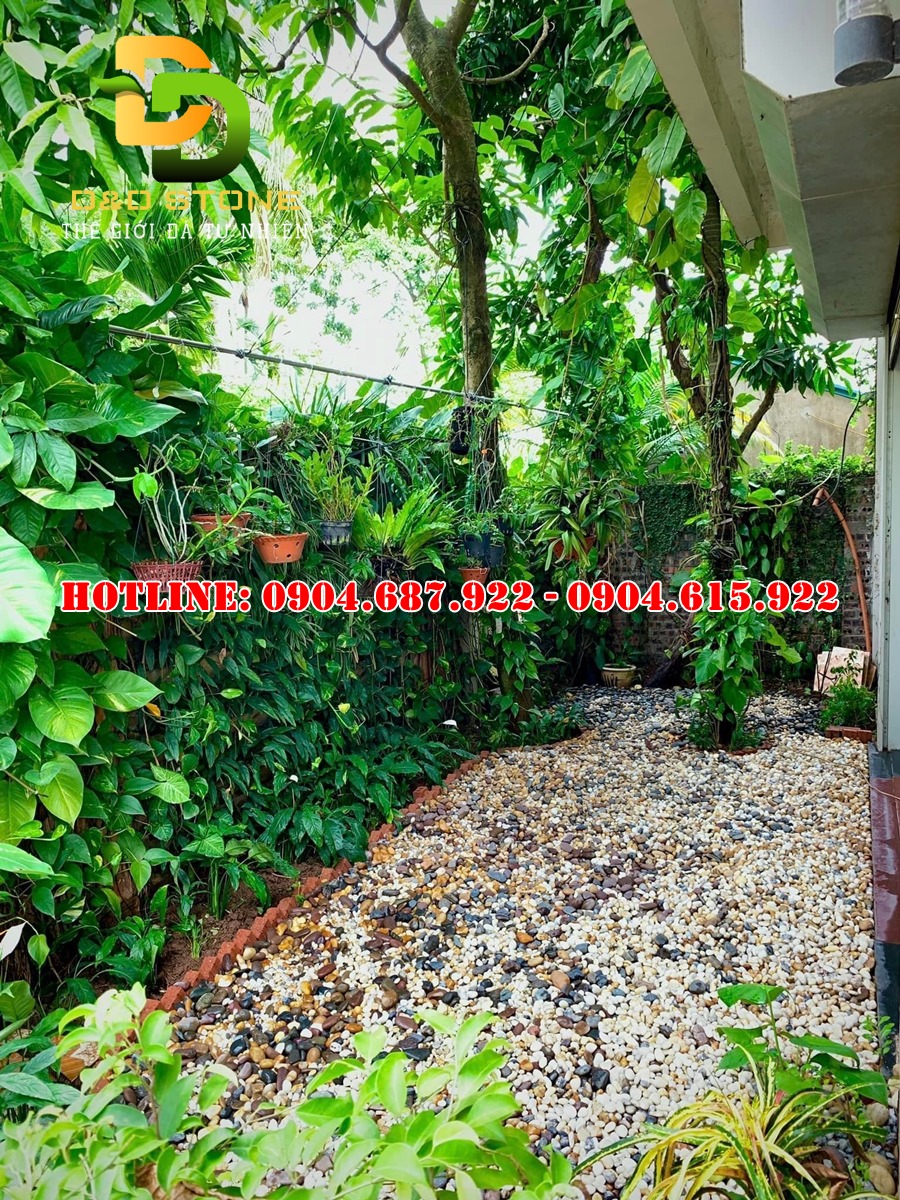 cung cấp sỏi trang trí tiểu cảnh