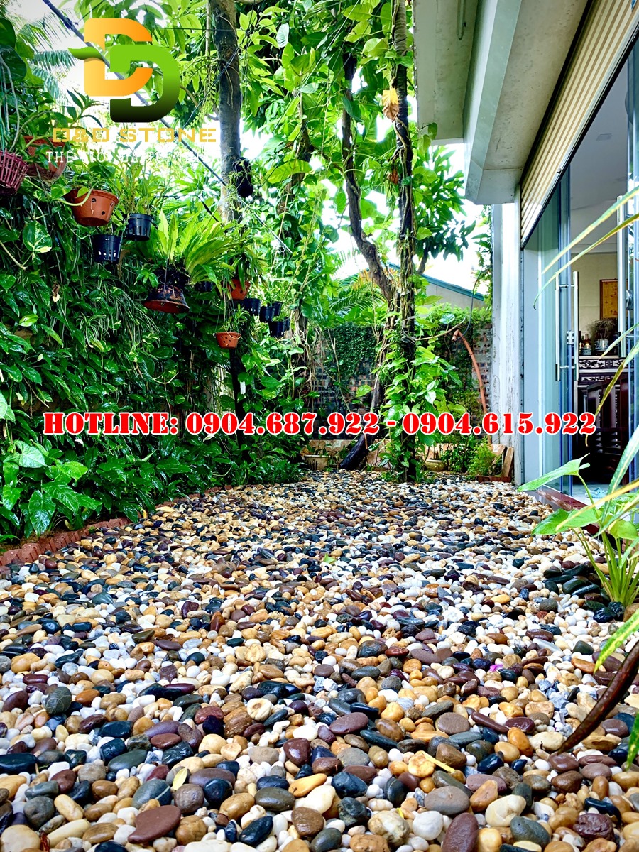 mẫu sỏi trang trí sân vườn đẹp nhất 2025