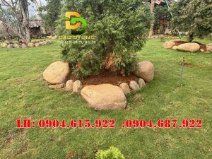 da-cuoi-tu-nhien-trang-tri