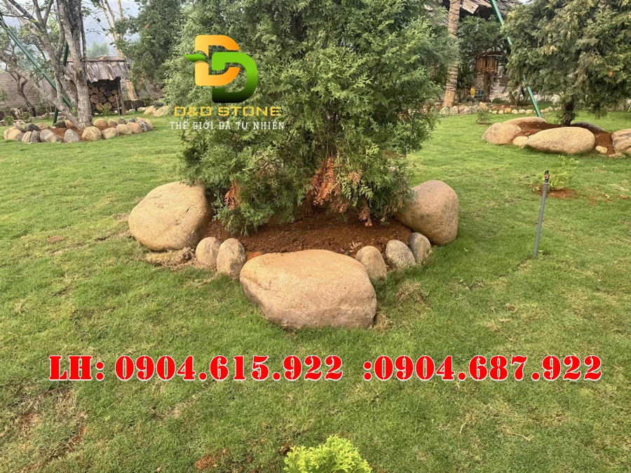 da-cuoi-tu-nhien-trang-tri