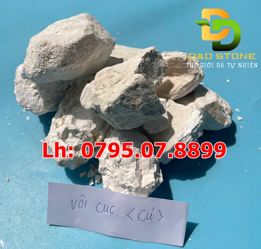 voi-bot-voi-cuc-gia-tot-nhat-thi-truong 