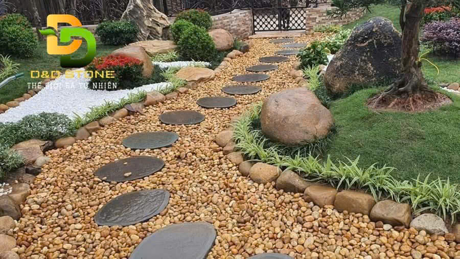 da-buoc-dao-san-vuon-soi-rai-san-vuon