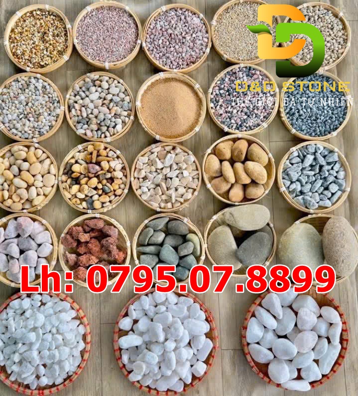 cac-loai-soi-san-vuon