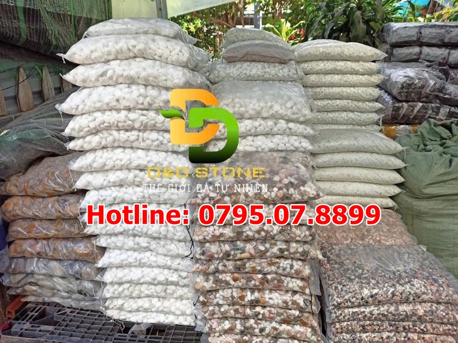 soi-trang-tri-dong-bao