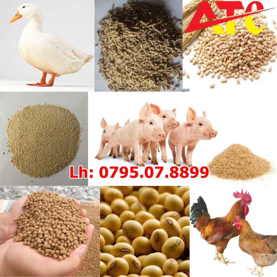 bot-da-cho-thuc-an-chan-nuoi-gia-súc-gia-cam