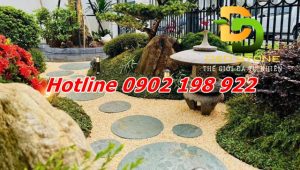 Da_buoc-dam-san-vuon 1