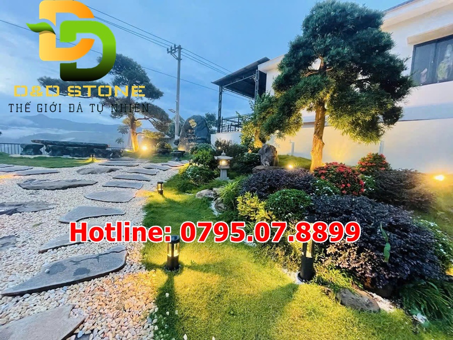 soi-da-buoc-dao-san-vuon