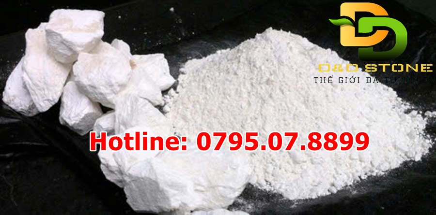 nhan-biet-voi-bot-voi-cuc