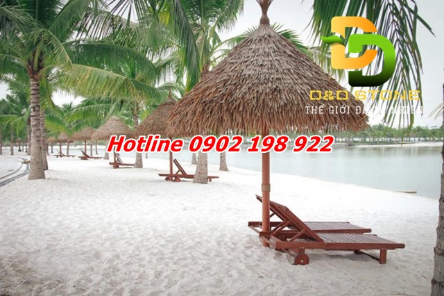 cat-trang-thach-anh-ung-dung-pho-bien-va-huong-dan-su-dung-hieu-qua