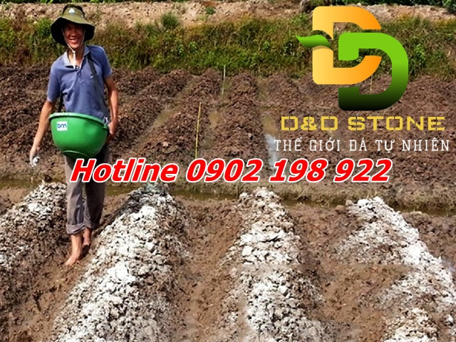 cai-tao-dat-bang-dolomite-lam-dung-dat-khoe-cay-tot