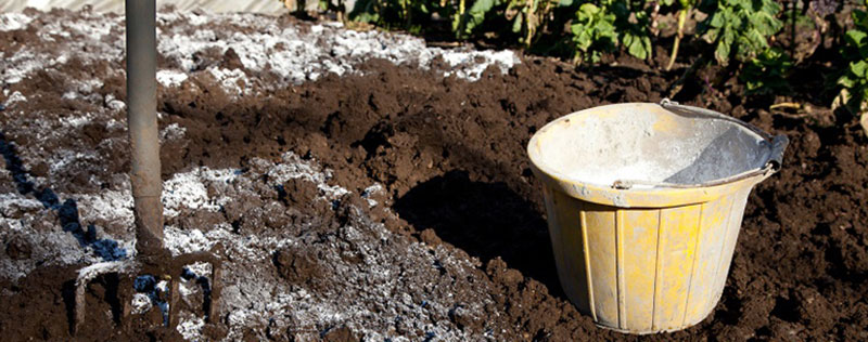 voi-bao-ve-moi-truong