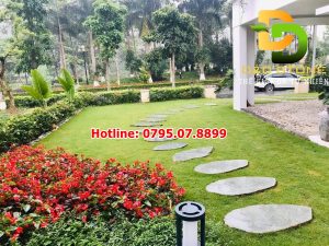 da-bazan-buoc-dao-san-vuon