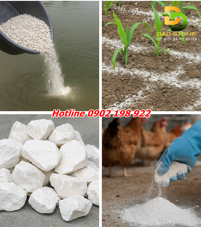 voi-bao-ve-moi-truong