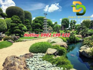 soi-cuoi-dat-o-dau-de-hut-tai-loc-vao-nha