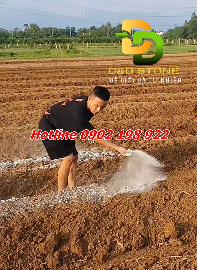 cai-tao-dat-bang-dolomite-lam-dung-dat-khoe-cay-tot