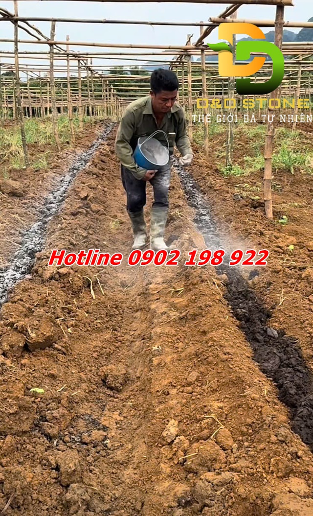 cai-tao-dat-bang-dolomite-lam-dung-dat-khoe-cay-tot