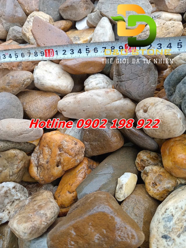 soi-cuoi-tu-nhien-ung-dung-san-vuon-ho-ca-chau-cay-tieu-canh