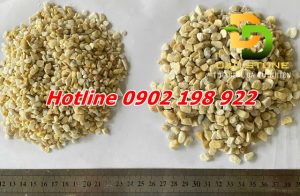 y-tuong-trang-tri-san-vuon