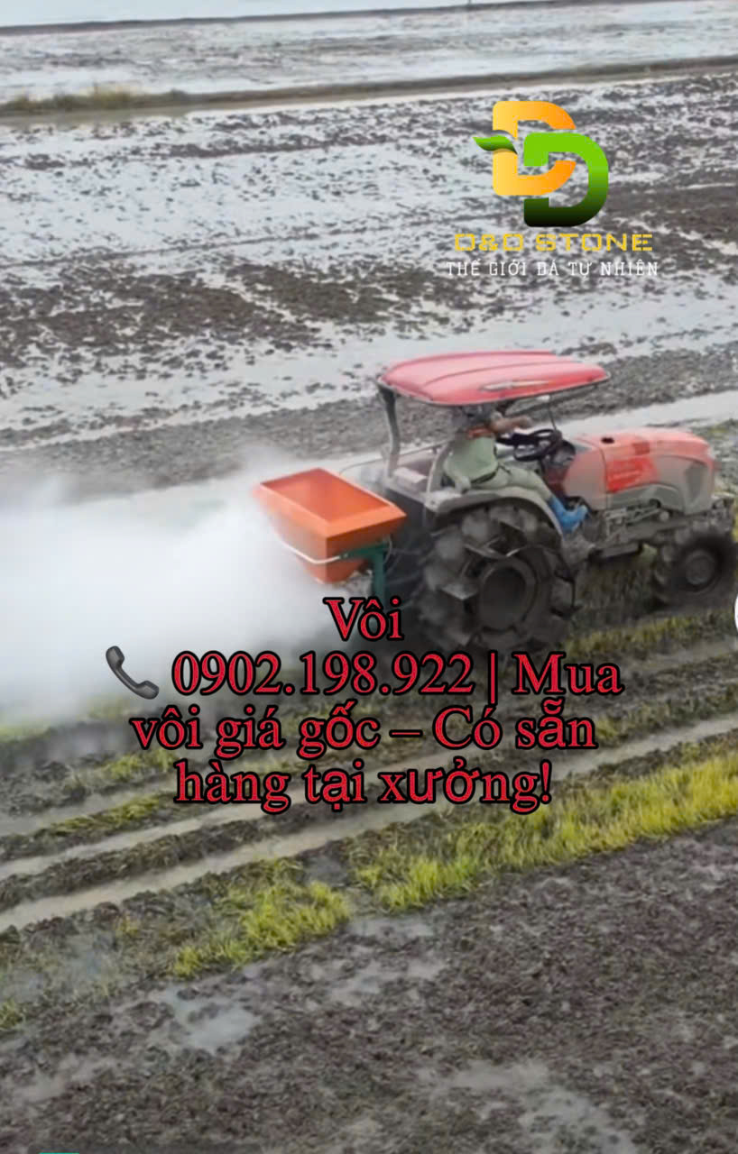 bon-voi-cho-cay-trong-dung-cach-de-dat-toi-xop-giau-dinh-duong