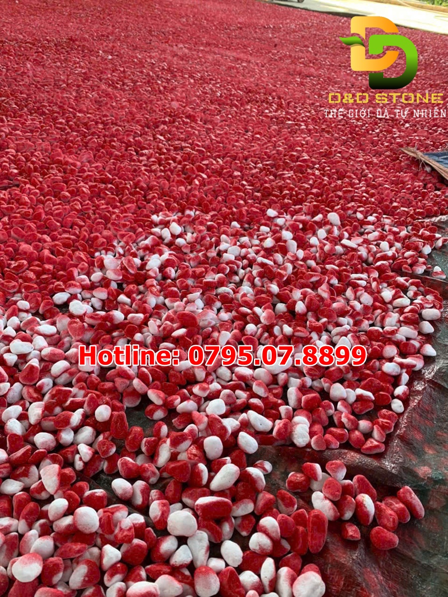 soi-son-do-trang-tri