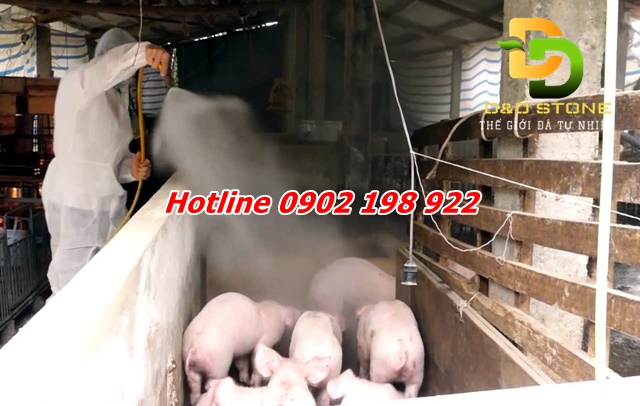 voi-bot-trong-phong-chong-dich-ta-lon-chau-phi-uoc-tinh-su-dung-nam-2025