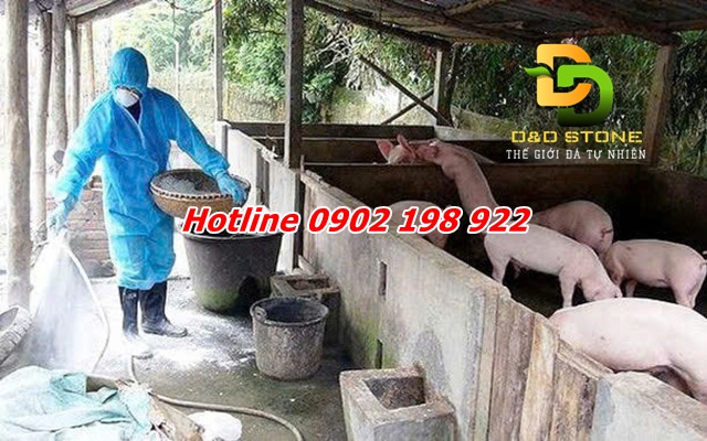 voi-bot-trong-phong-chong-dich-ta-lon-chau-phi-uoc-tinh-su-dung-nam-2025