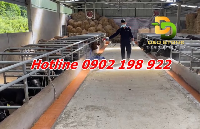 sai-lam-thuong-gap-khi-su-dung-voi-bot-trong-chan-nuoi