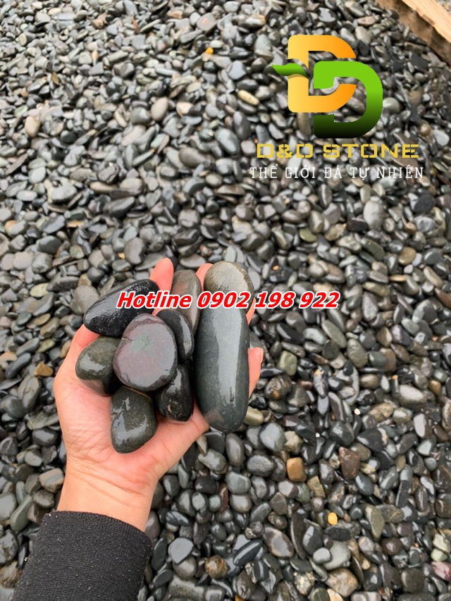 tong-kho-chuyen-cung-cap-soi-trang-tri-cac-loai-gia-tan-xuong-giao-toan-quoc