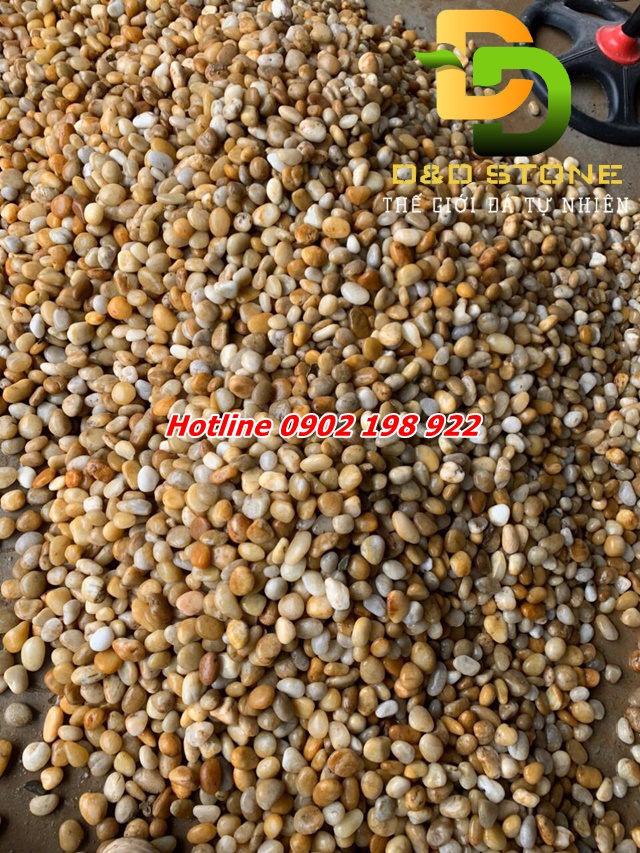 tong-kho-chuyen-cung-cap-soi-trang-tri-cac-loai-gia-tan-xuong-giao-toan-quoc