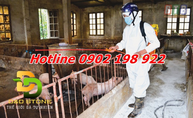 tai-sao-the-gioi-van-chon-voi-du-co-nhieu-chat-thay-the