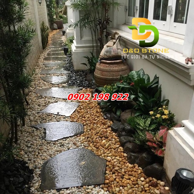 cach-rai-soi-quanh-nha-vua-chong-co-moc-vua-dep-mat