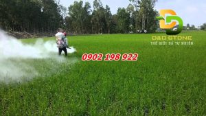 tai-sao-nong-dan-chon-voi-bot-thay-vi-phan-bon-hoa-hoc