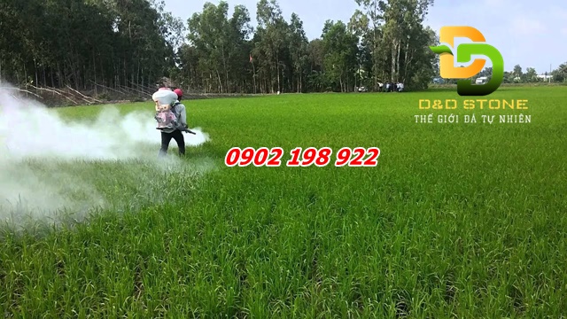 tai-sao-nong-dan-chon-voi-bot-thay-vi-phan-bon-hoa-hoc