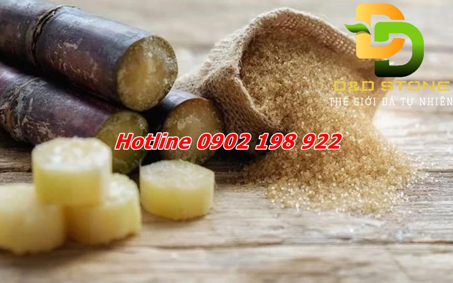 Voi-cuc-trong-nganh-mia-duong