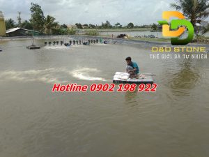 voi-dolomite-thuy-san