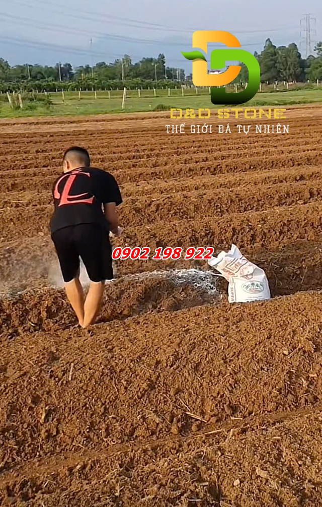 hoi-sinh-dat-bang-voi-giai-phap-ben-vung-cho-nong-nghiep-xanh