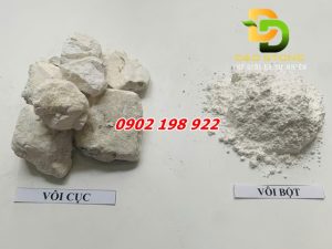 hoi-sinh-dat-bang-voi-giai-phap-ben-vung-cho-nong-nghiep-xanh